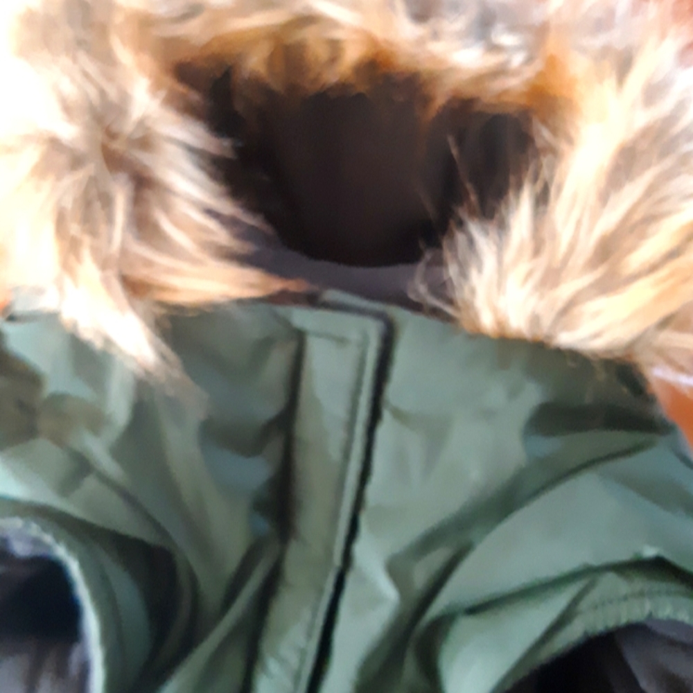 North Fetch Athletics Dog Parka